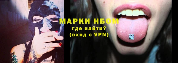 стаф Белокуриха