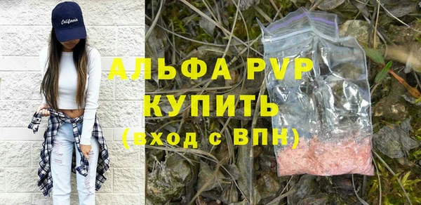стаф Белокуриха