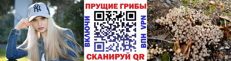 Галлюциногенные грибы ЛСД  Тында 
